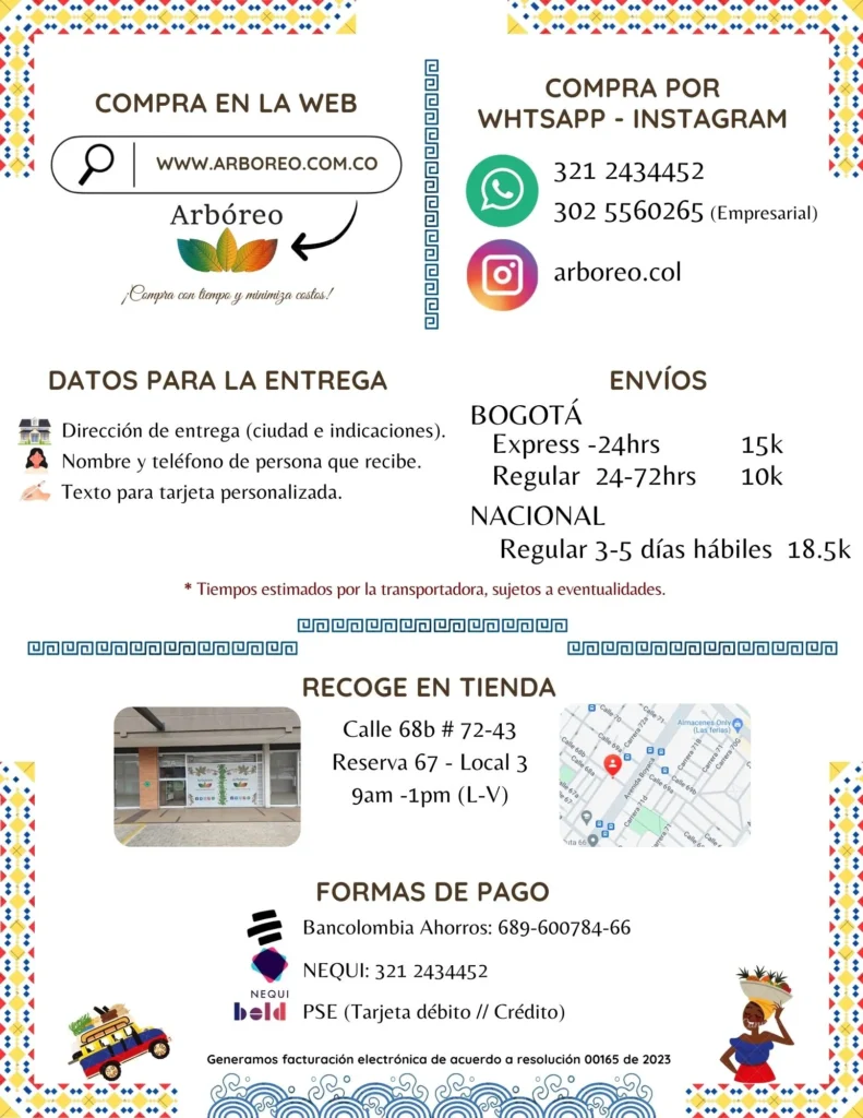 catálogo a 31grados 4