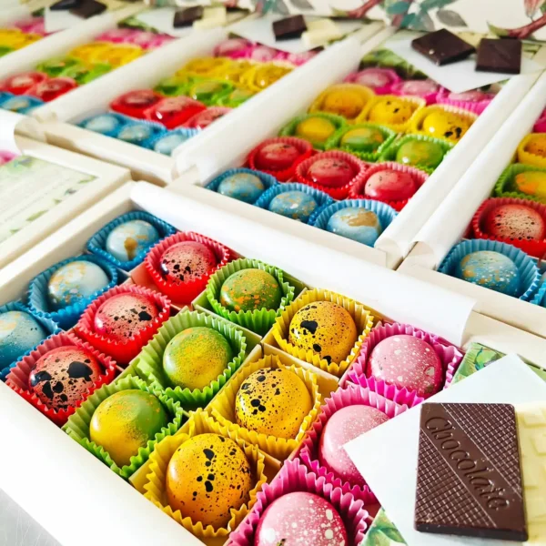 Chocolates 15 bombones a 31 grados chocolates