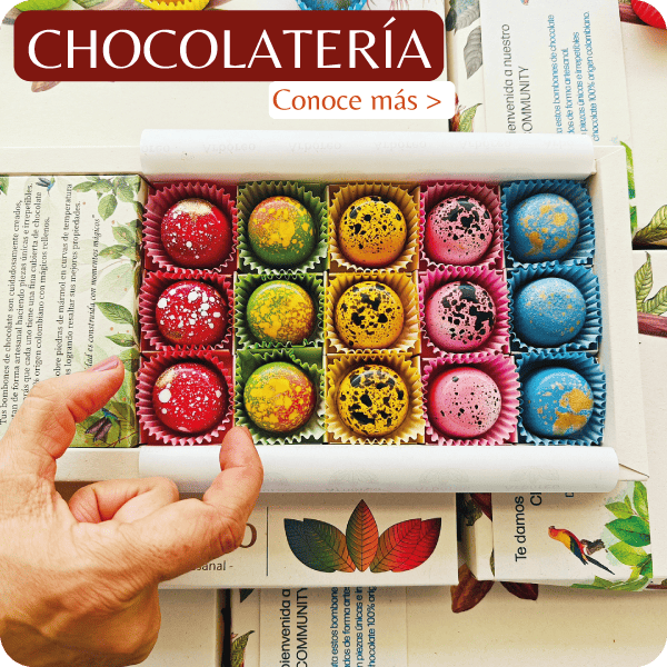 Chocolates A31°Chocolat